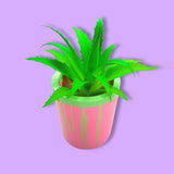 Handmade Jar